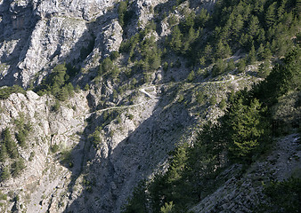 Image showing Mountain path