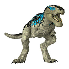 Image showing Dinosaur Tyrannosaurus