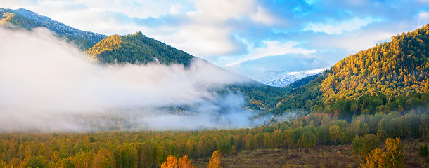 Image showing sunrise in taiga