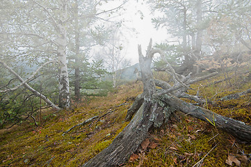 Image showing on the mountain in autumn day