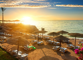 Image showing Red sea beach