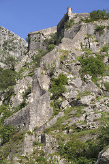 Image showing Ruins of the fortress over Kotor