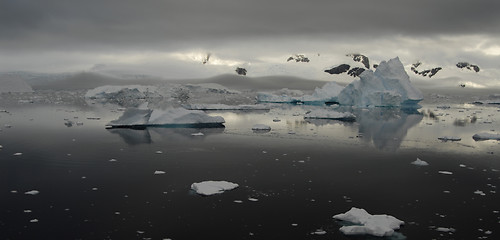 Image showing Iceberg in Antarctica