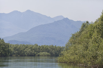 Image showing Skadar lake, Montenegro