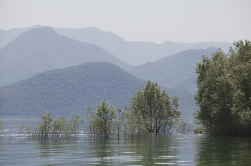 Image showing Skadar lake, Montenegro