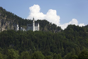 Image showing Castle of Neuschwanstein in Bavarian Alps