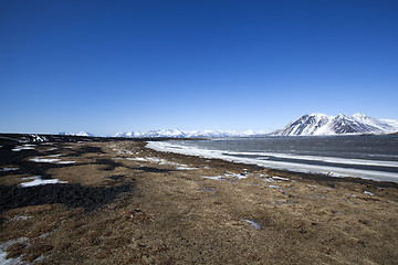 Image showing East coast of Iceland