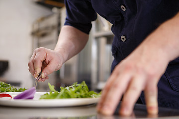 Image showing Chef preparing food