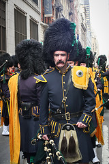 Image showing Saint Patricks Day Parade costume