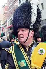 Image showing Saint Patricks Day costume