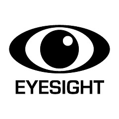 Image showing eyesignt icon