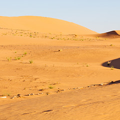 Image showing sunshine in the desert of morocco sand and dune