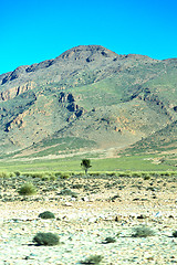 Image showing brown    in    valley  morocco         africa the atlas dry moun