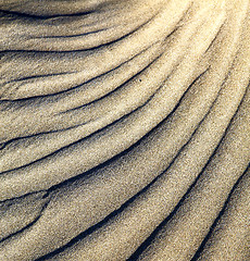 Image showing  abstract texture of a  dry sand and the beach lanzarote  