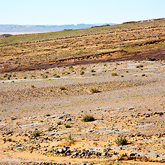 Image showing mountain old fossil in  the desert of morocco sahara and rock  s