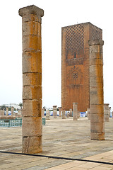 Image showing the   chellah  in morocco africa  old roman deteriorated  