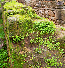 Image showing chellah  in morocco africa the old roman deteriorated monument a