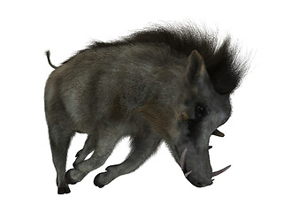Image showing Warthog