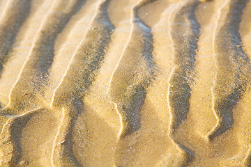 Image showing dune   in africa brown t sand beach  atlantic ocean