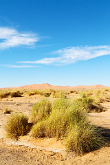 Image showing mountain old fossil in  the desert  morocco sahara 