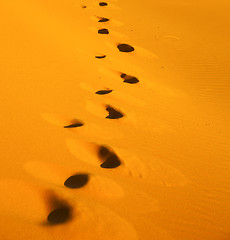 Image showing the brown sand dune in the sahara morocco desert 