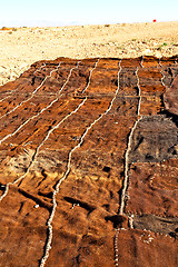 Image showing carpet  in    africa  atlas dry mountain utility pole 