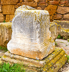 Image showing chellah  in morocco africa the old tombstone