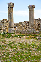 Image showing volubilis in morocco africa the old roman  monument and site