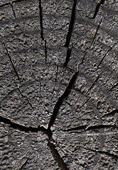 Image showing Abstract cracked wood  