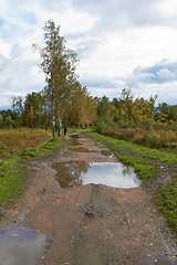 Image showing Autumn puddle on forest path in the park cloudy day