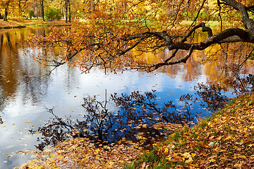 Image showing Beautiful colors of autumn landscape by the lake