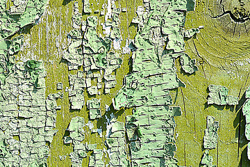 Image showing old oak tree bark texture