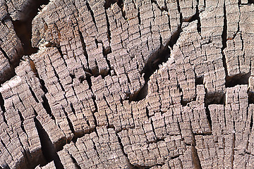 Image showing old wood plaque texture or background