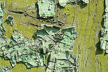 Image showing old green colored wooden plank surface