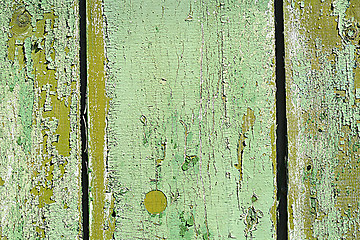 Image showing Surface of an empty green wooden background.