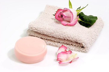 Image showing Soft Towel