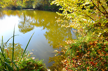 Image showing Colorful autumn landscape with a river view