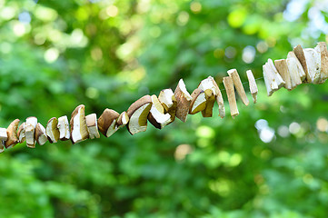 Image showing Sliced mushrooms are dried on a string 