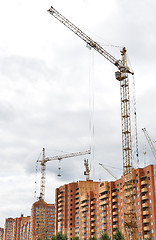 Image showing Cranes and building construction 