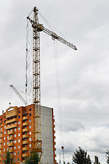 Image showing Cranes and building construction 