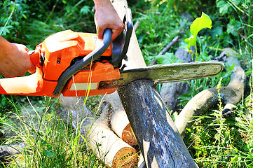 Image showing Chainsaw cut wooden logs