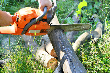 Image showing Chainsaw cut wooden logs