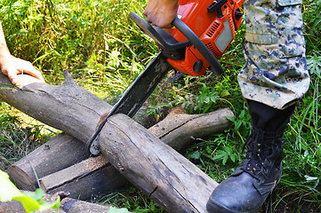 Image showing Chainsaw cut wooden logs