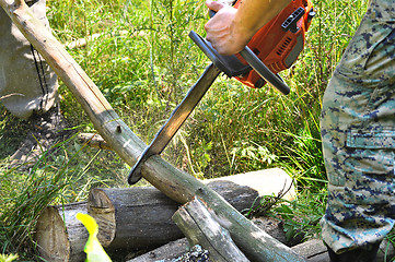 Image showing Chainsaw cut wooden logs