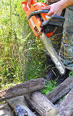 Image showing Chainsaw cutting wood in the forest