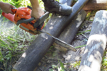 Image showing Chainsaw cut wooden logs