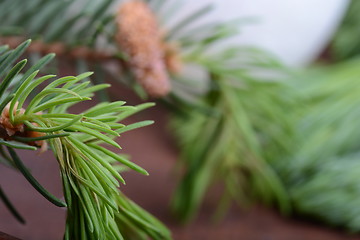 Image showing Fir-needle tree branches composition as a background texture