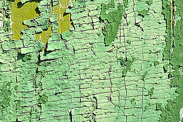 Image showing old green colored wooden plank surface