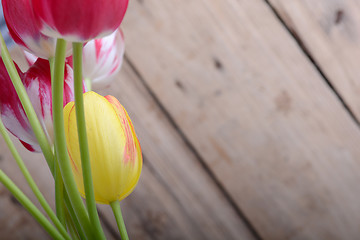 Image showing red tulips and yellow flower tulip