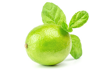 Image showing Lime